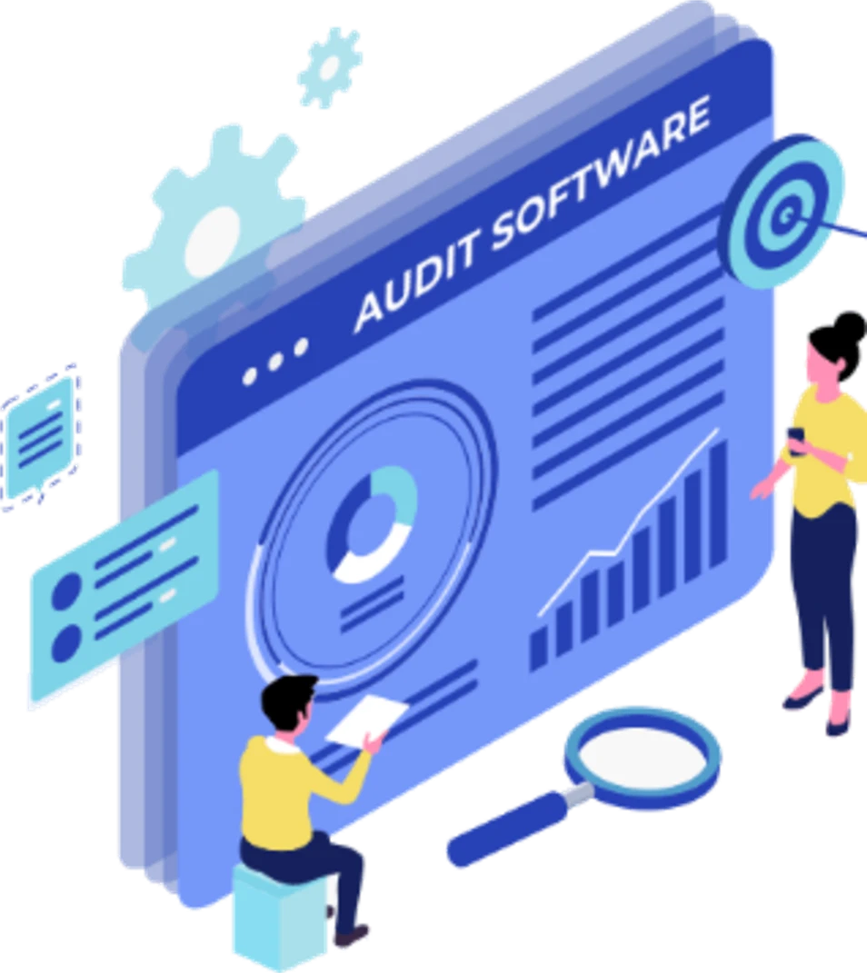 Audit Software